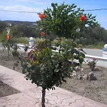 Apartament Nephele *
