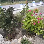 Nephele Apartament