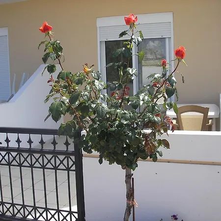 Apartment Nephele