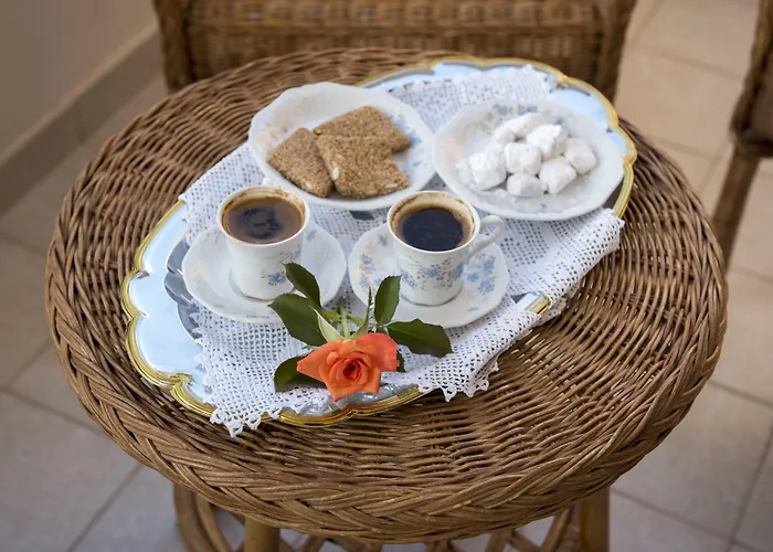 涅斐勒公寓酒店 法里拉基